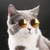 Óculos colorido para animais de estimação, óculos divertido para proteção dos olhos de cães pequenos, filhotes e gatos - Image 5